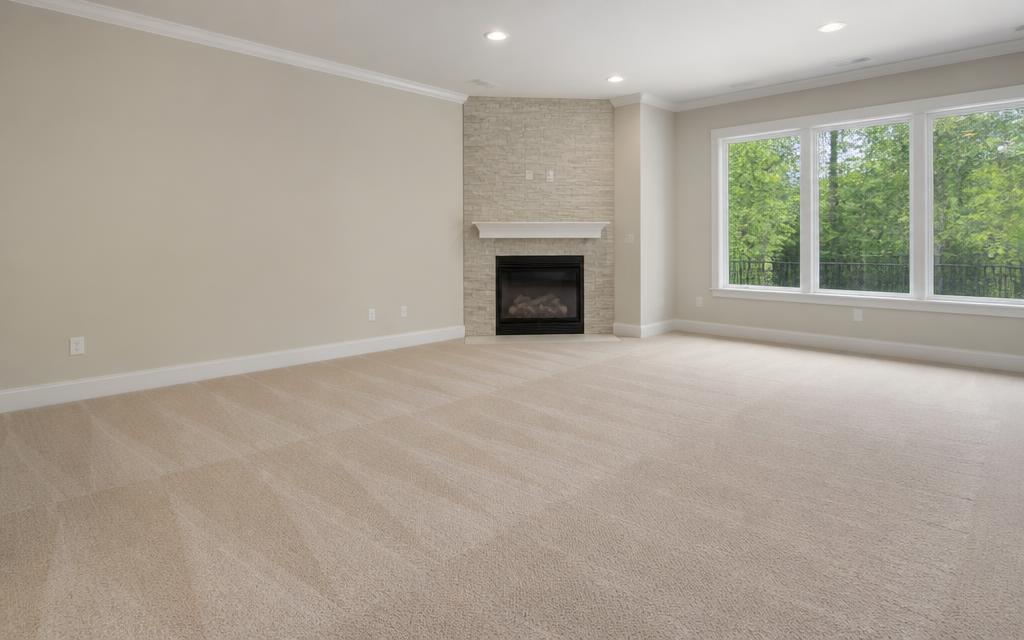 Carpet cleaning by Zion Cleaning in New York
